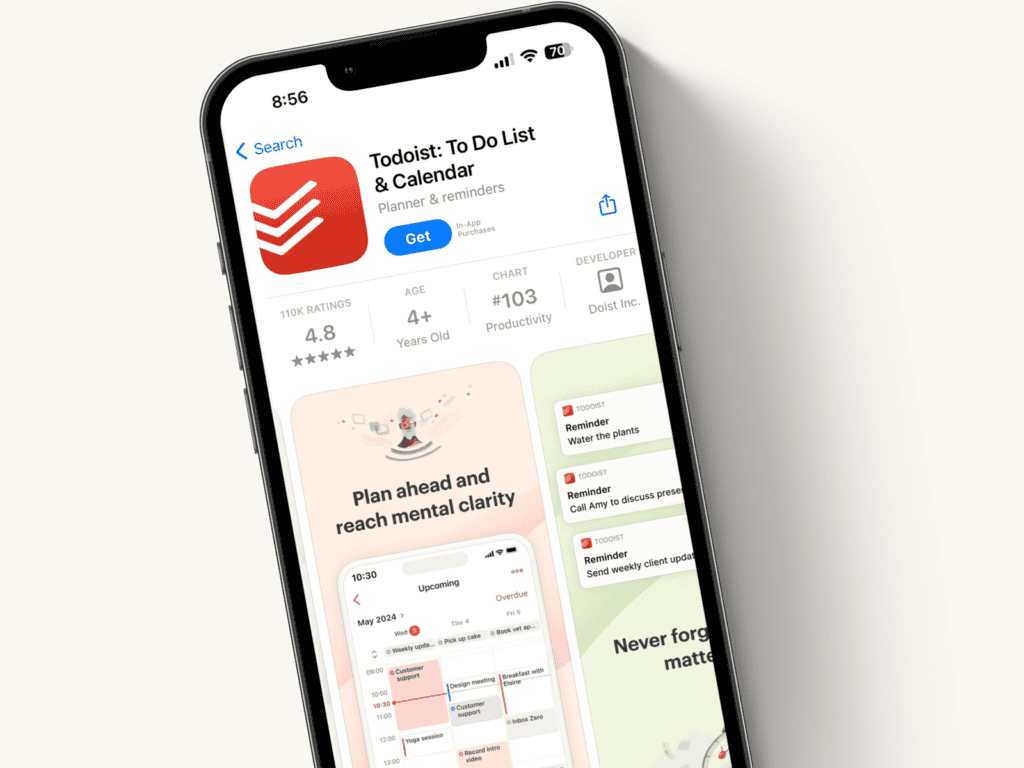 The Todoist app on an Iphone screen.