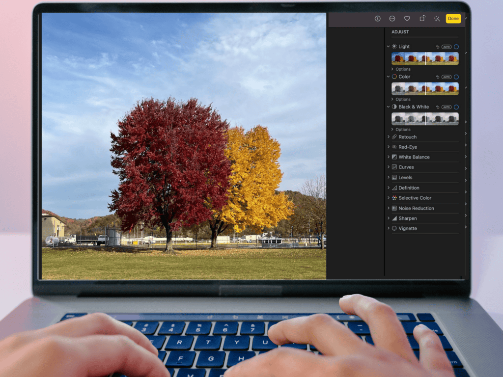 A laptop screen showing photo editing software with a photo of colorful autumn trees.