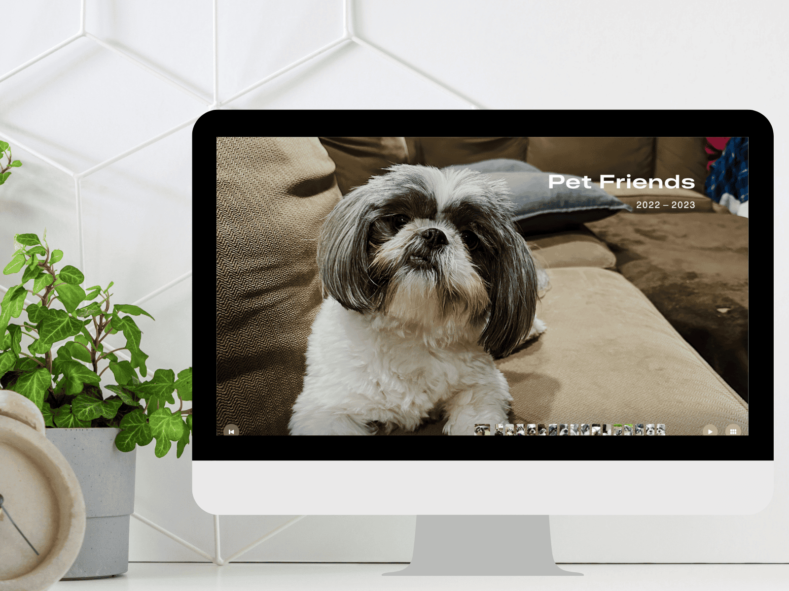 A computer screen displaying a digital photo album titled "Pet Friends 2022-2023" with a photo of a Shih Tzu on the cover.