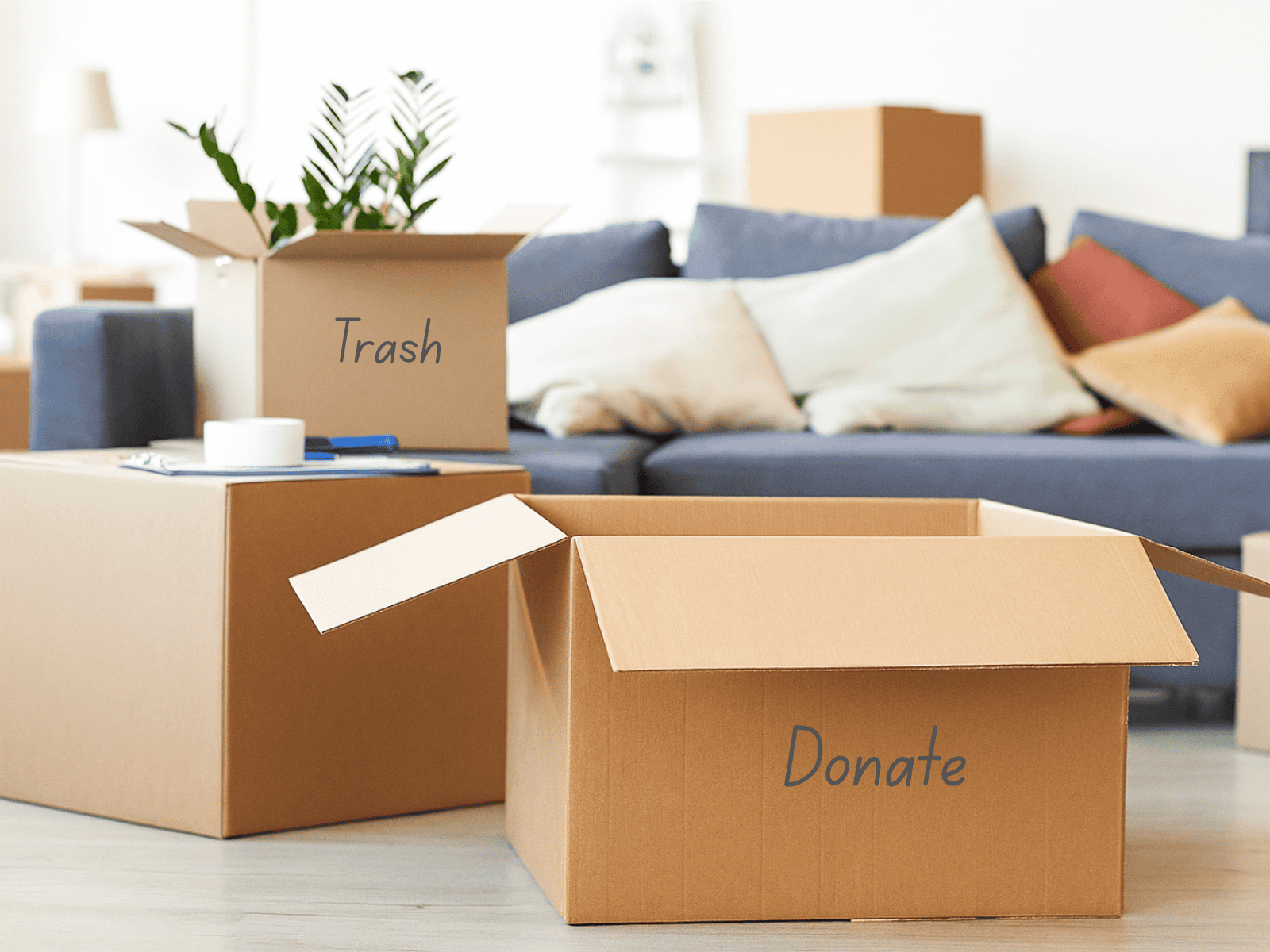 Cardboard boxes labeled "Trash" and "Donate" are arranged in a bright, modern living room with a couch and colorful throw pillows in the background, creating a tidy and inviting scene for decluttering.
