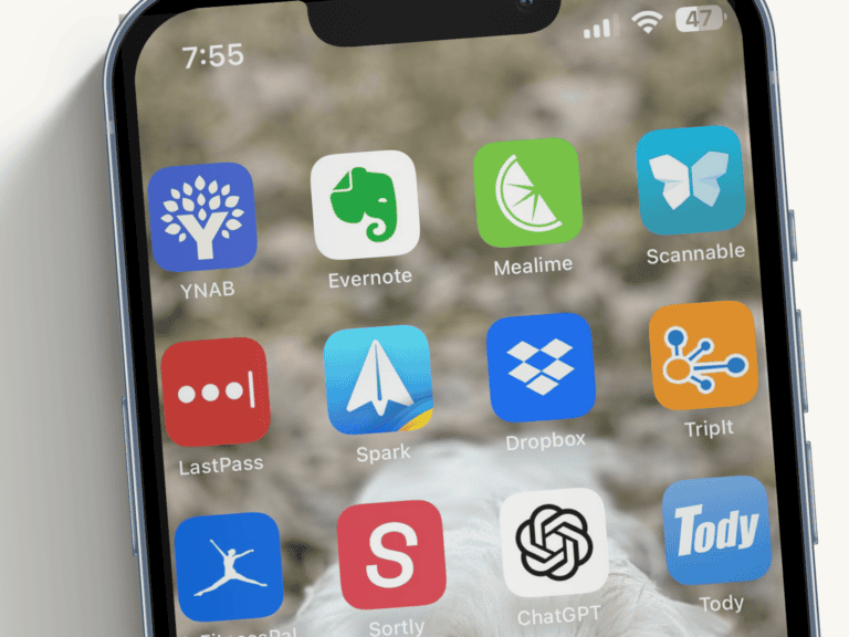 iPhone screen showing popular organization apps including Notion, Evernote, Mealime, Spark, Dropbox, Sortly, and Tody used to organize daily life and home routines.