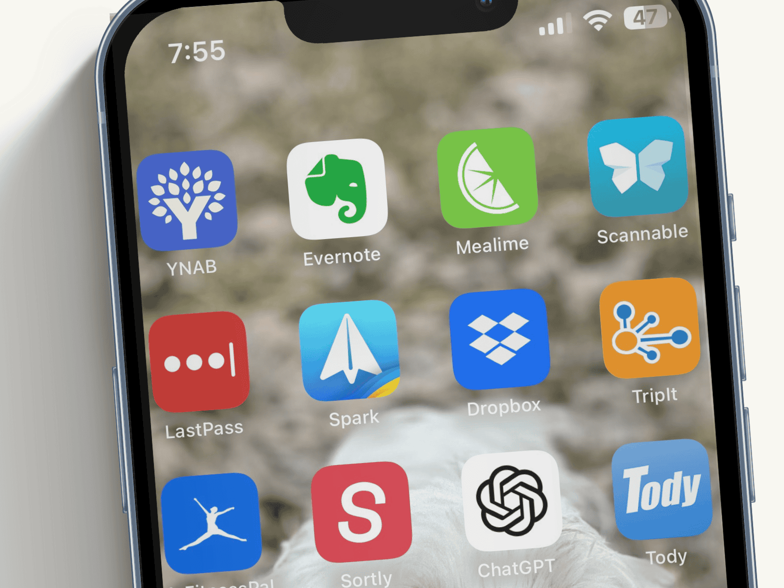 iPhone screen showing popular organization apps including Notion, Evernote, Mealime, Spark, Dropbox, Sortly, and Tody used to organize daily life and home routines.